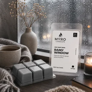 Rainy Window